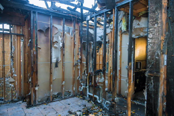 Professional Fire Damage Removal technician working in Oak Park, MN