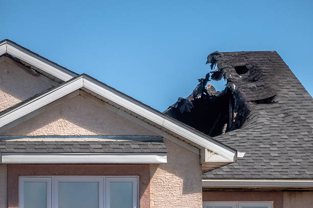 Top rated local Fire Damage Removal specialists in Oak Park, MN